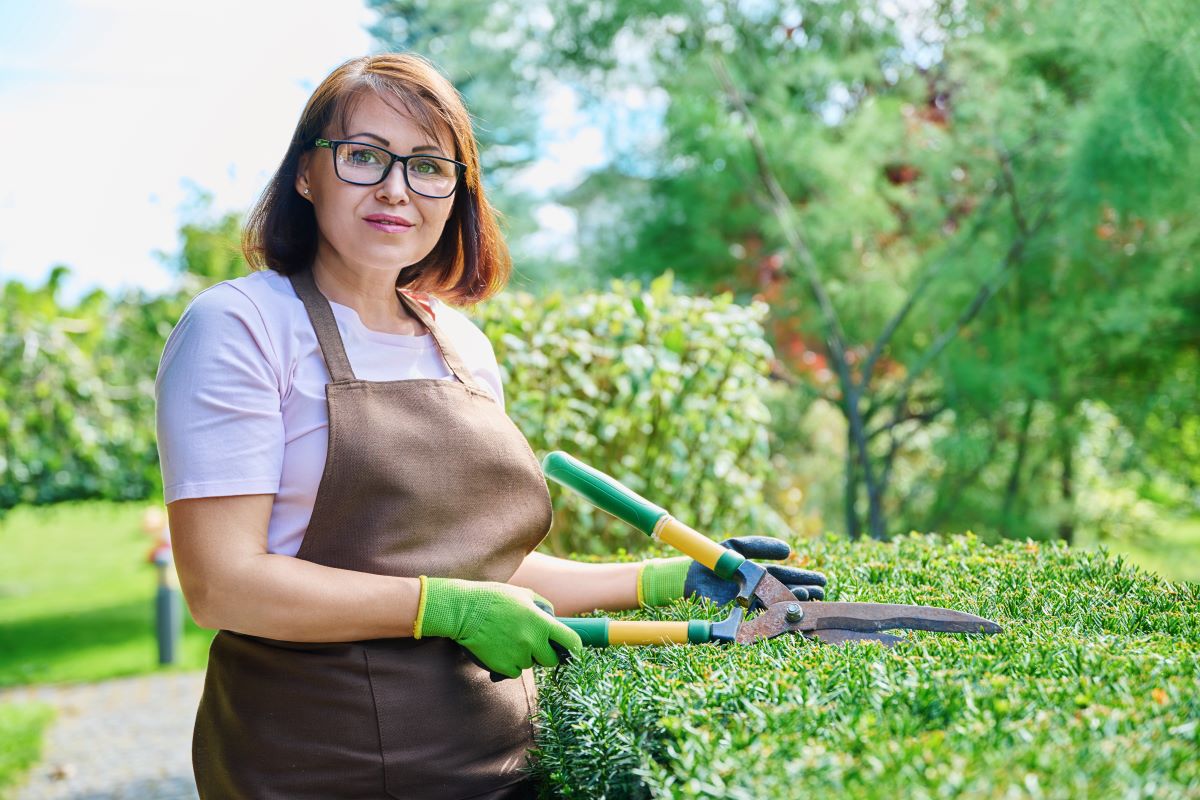 Gartenpflege durchs Jahr: Arbeitskalender für alle Jahreszeiten
