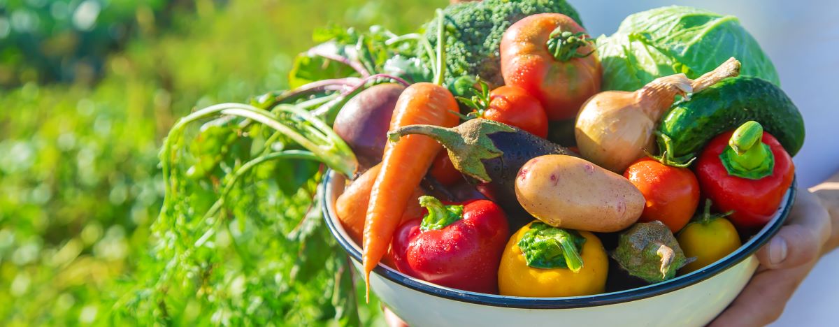 Saisonkalender: Frisches Obst & Gemüse ganzjährig